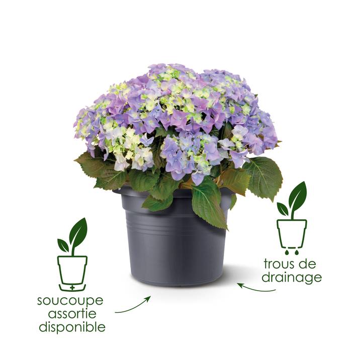 green basics cilinder 55cm terre cuite doux